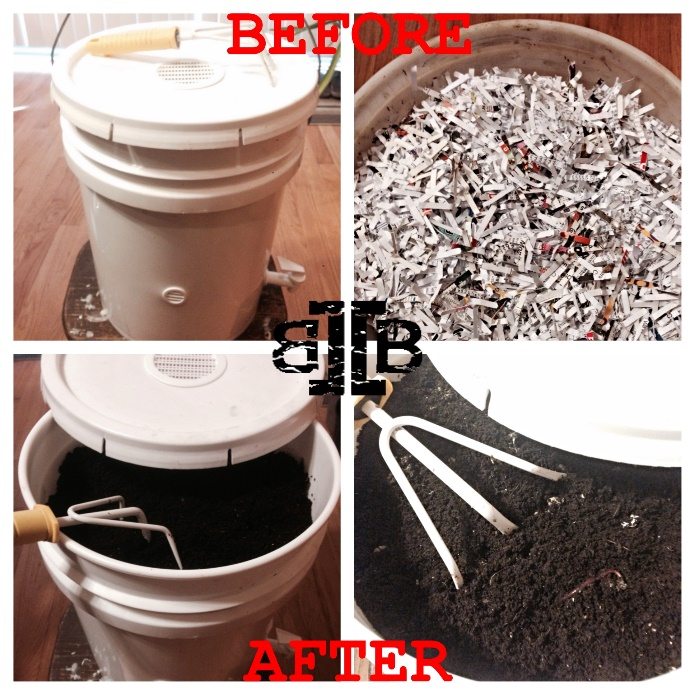 Turn Your Trash into Black Gold with this Amazingly Simple Vermicompost System