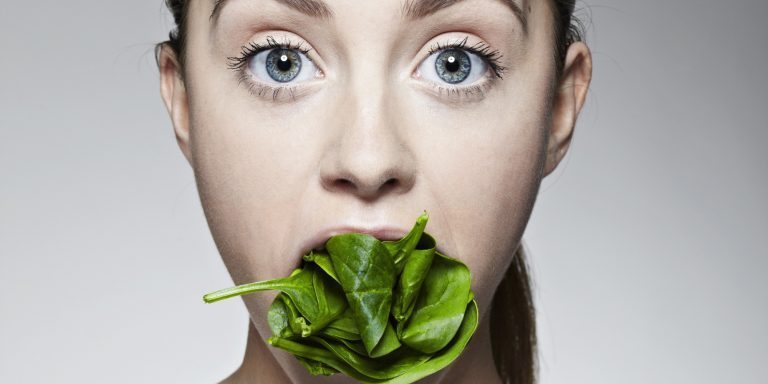 Study Claims Plants Can Feel When They Are Being Eaten and They Don’t Like It!