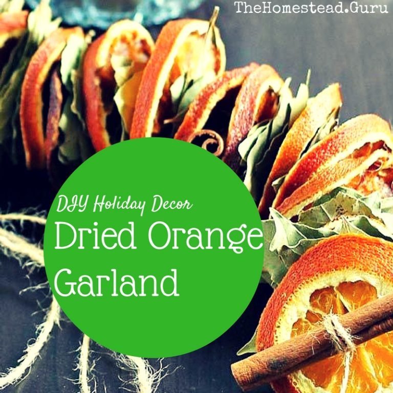 DIY Dried Orange Garland – Unique Holiday Decoration