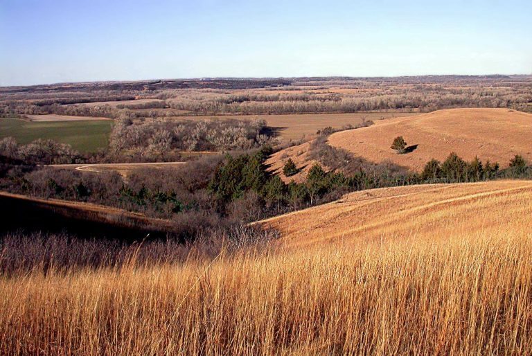 The Homesteading Act of 1862 + How to Get Land for Free in 4 US States