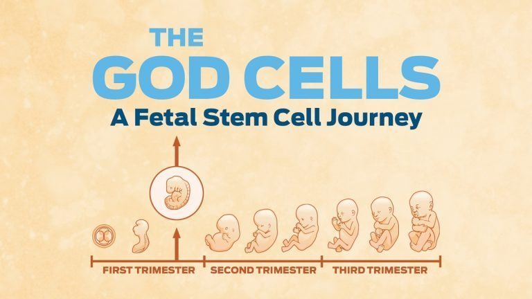 Is This Stem Cell Film the Most Controversial Documentary Ever?