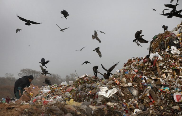 This Bacterial Enzyme Creates Biodegradable Plastic and Could Solve Pervasive Pollution