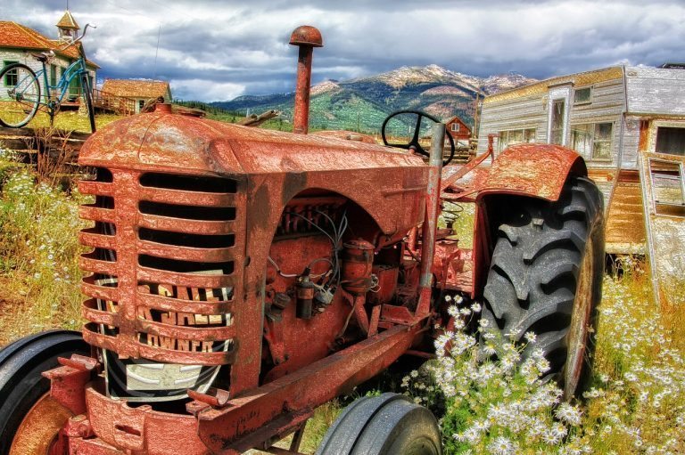 Eleven Easy Ideas for Off-Grid Living