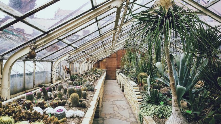 Build a Barn Style Greenhouse With These Step By Step Instructions