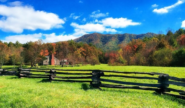 Create Your Own Self Sustaining Homestead on Only One Acre!