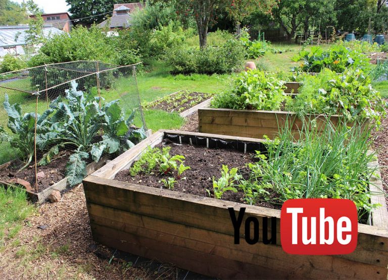 What to Watch: Homesteading, Permaculture, & Growing Food on YouTube