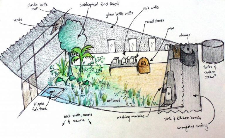 Foods to Grow Underground in a Walipini During Fall & Rest of the Year!