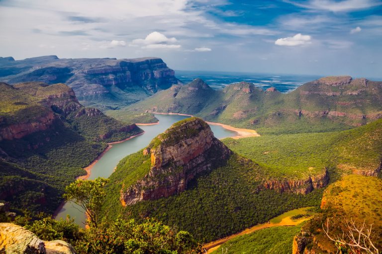 Ethiopia May Have Broken World Record Planting 350 Million Trees in 12 Hours