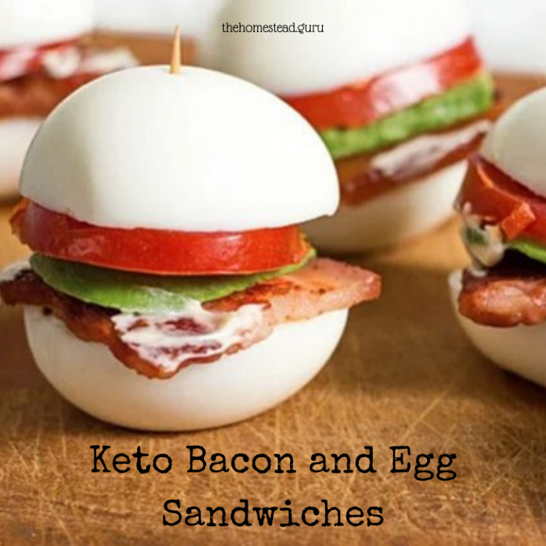 Keto Carnivore Bacon Egg Sandwiches