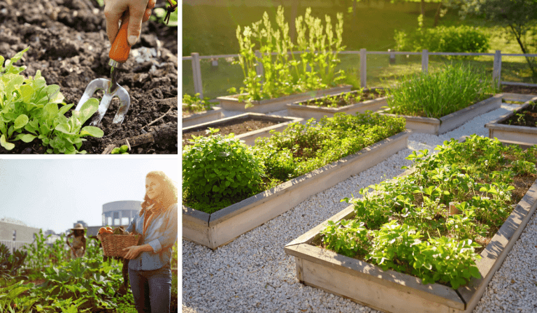 Urban Farming on the Rise in Detroits First Sustainable Agrihood